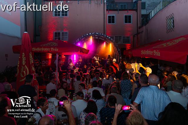 Foto Laudi Donaugassenfest-55.jpg